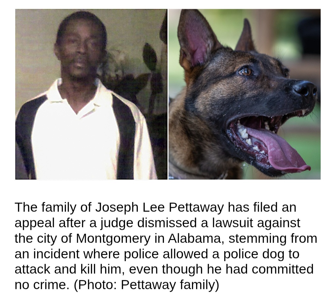 Federal Appeal Filed After Man Dies from Torn Femoral Artery, Lawsuit Against Montgomery Dismissed